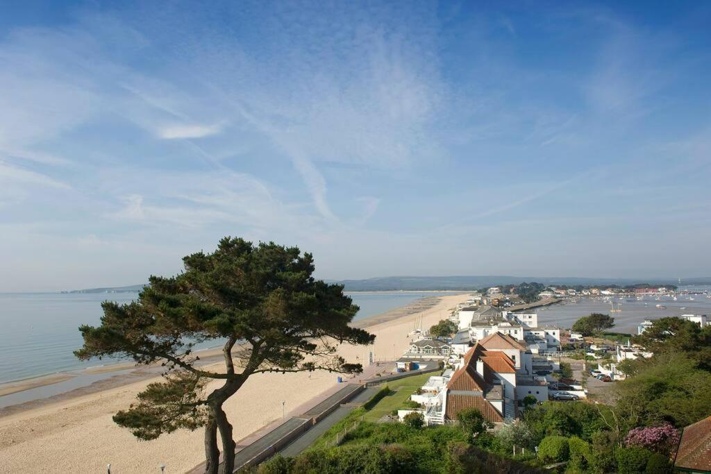 Bournecoast: Lovely Annex With Patio Nr Beach-5286 伯恩茅斯 外观 照片